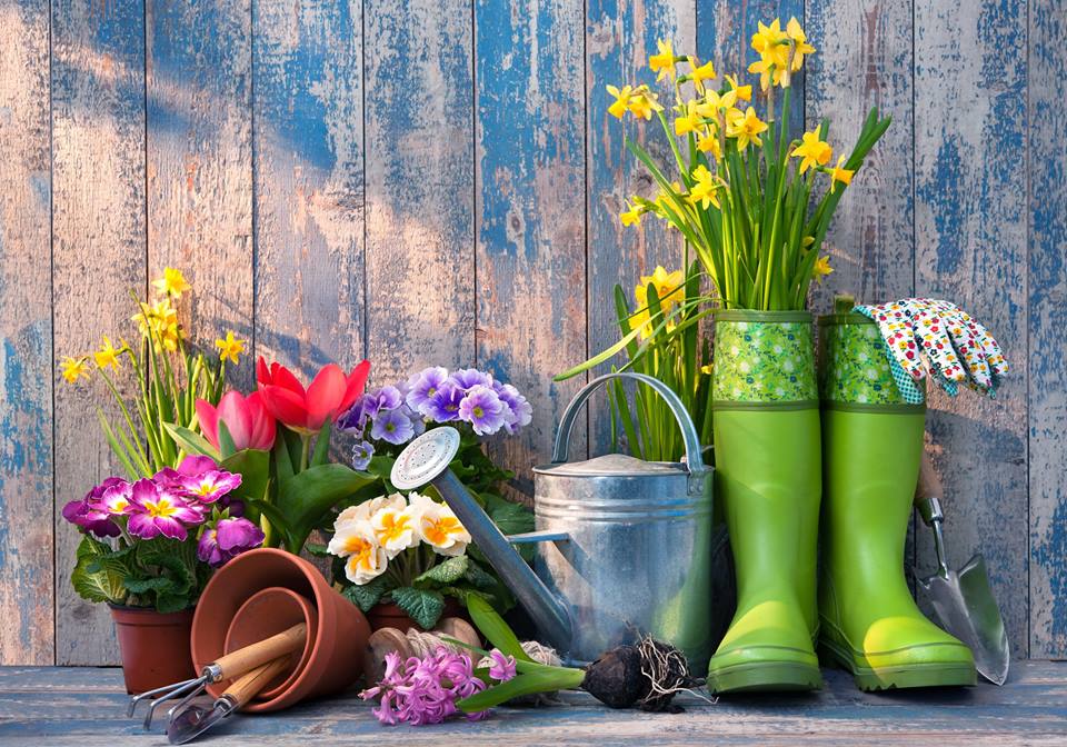 Дачный сезон в разгаре: лунный посевной календарь на май 2021 года для садовода и огородника